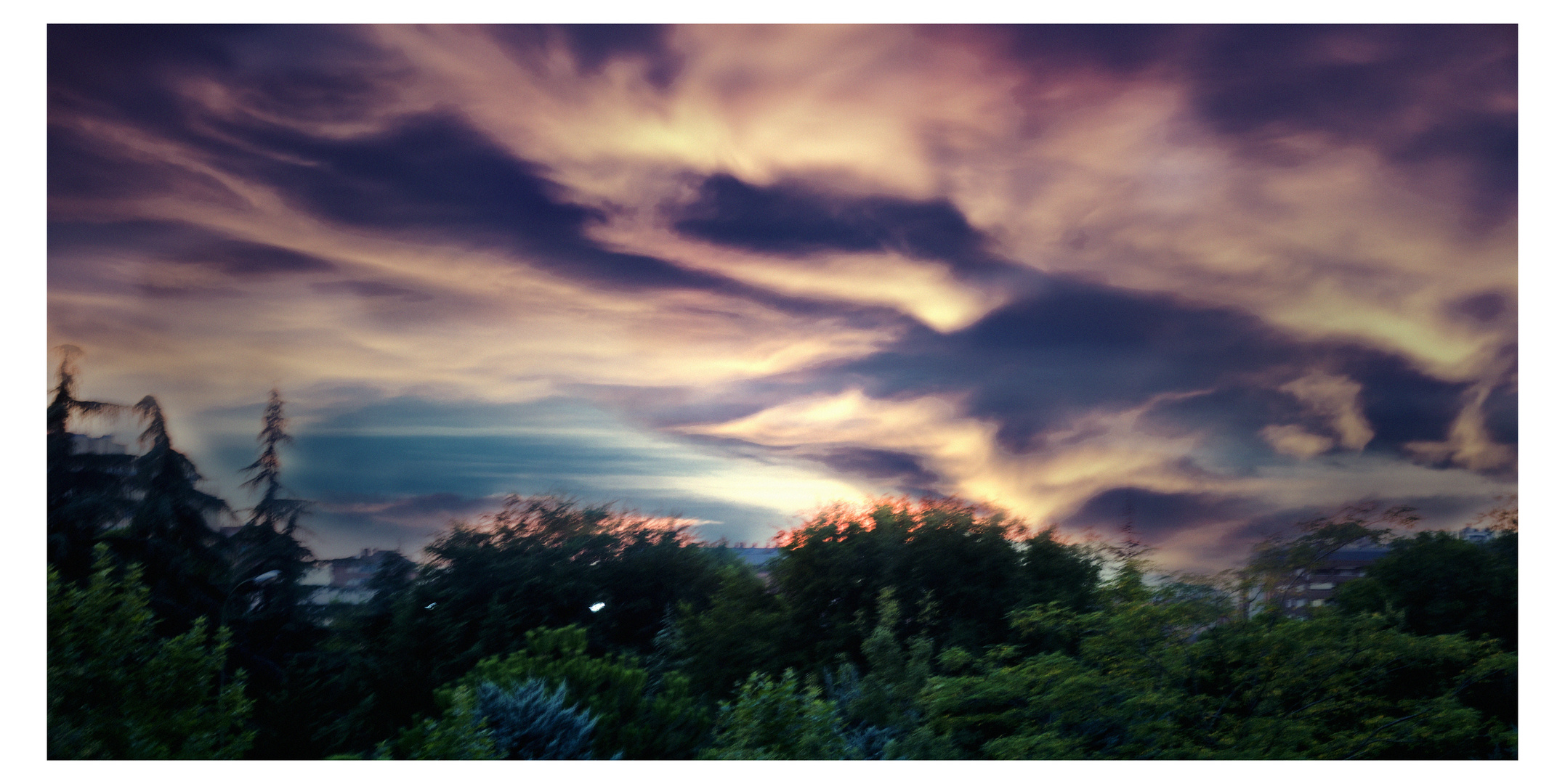 Cielo y Bosque