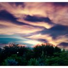 Cielo y Bosque