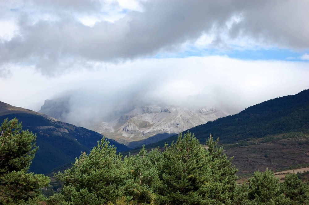 CIELO Y TIERRA