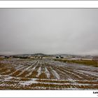 Cielos de Plomo