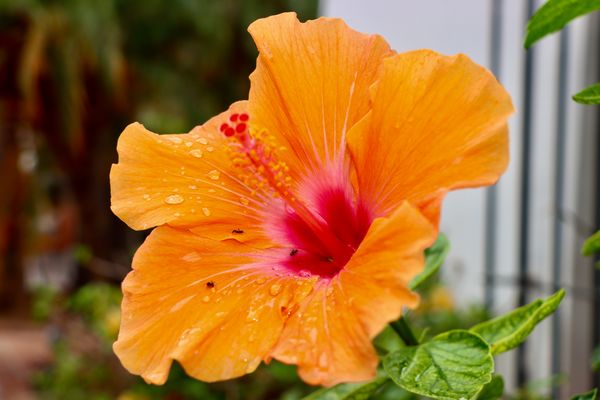 Cierra los Ojos.... (Abre los Ojos )