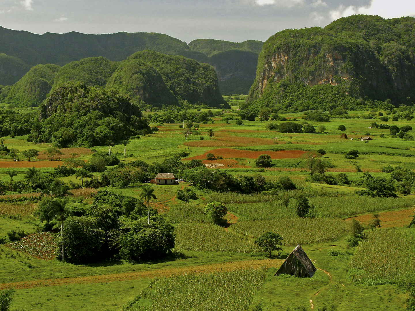 Cigar country