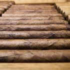 Cigars in Humidor