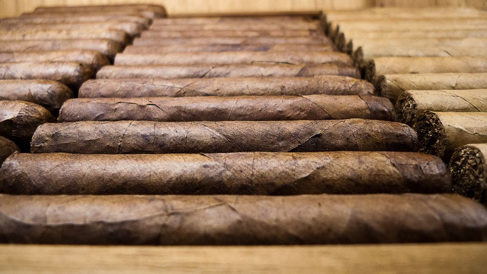 Cigars in Humidor