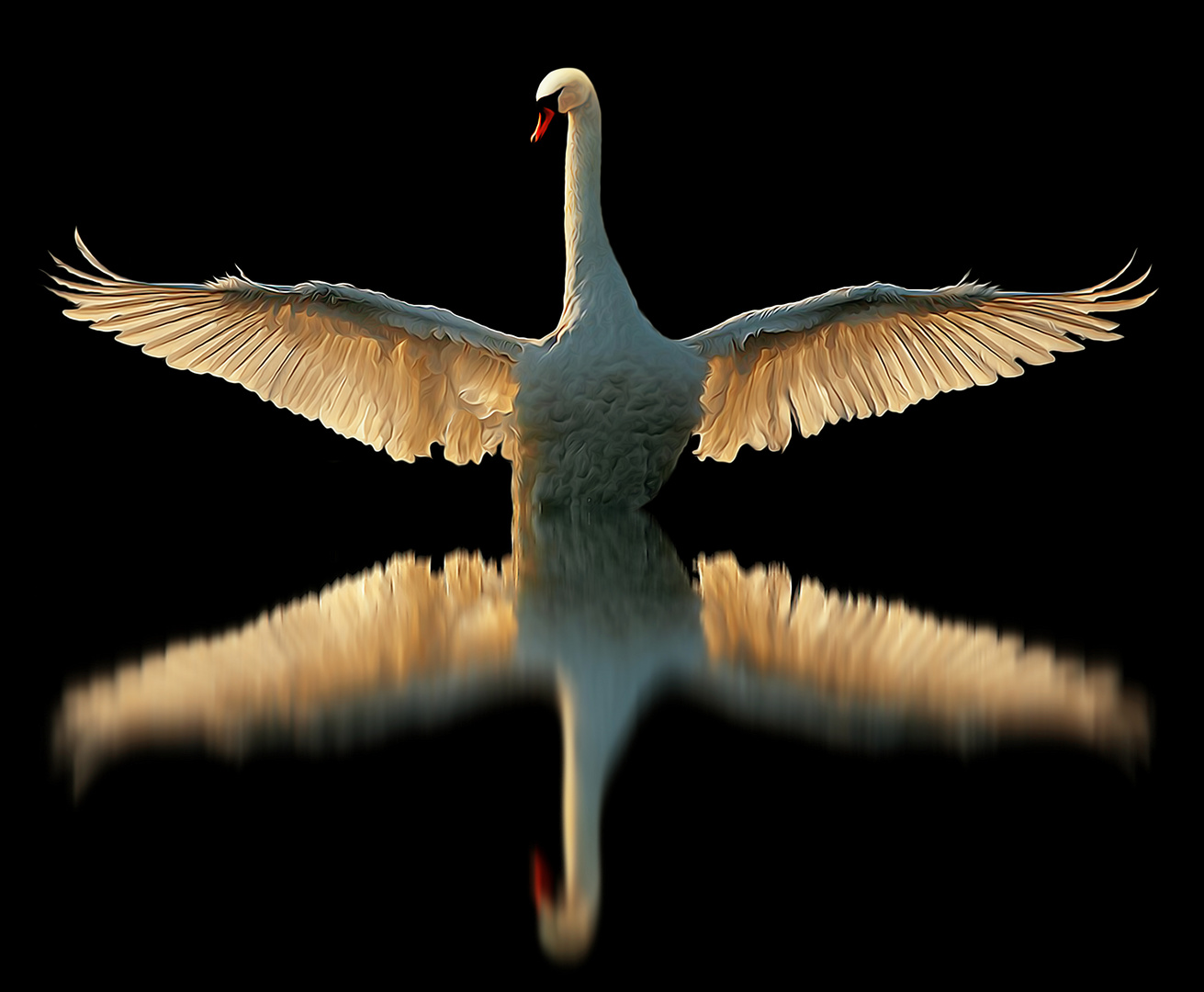 Cigno