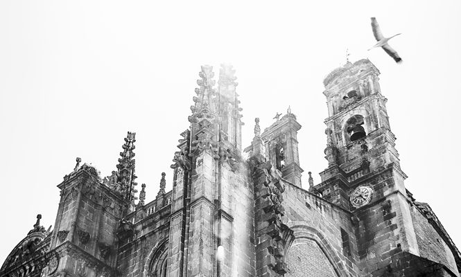 Cigüeña y Catedral