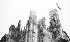Cigüeña y Catedral