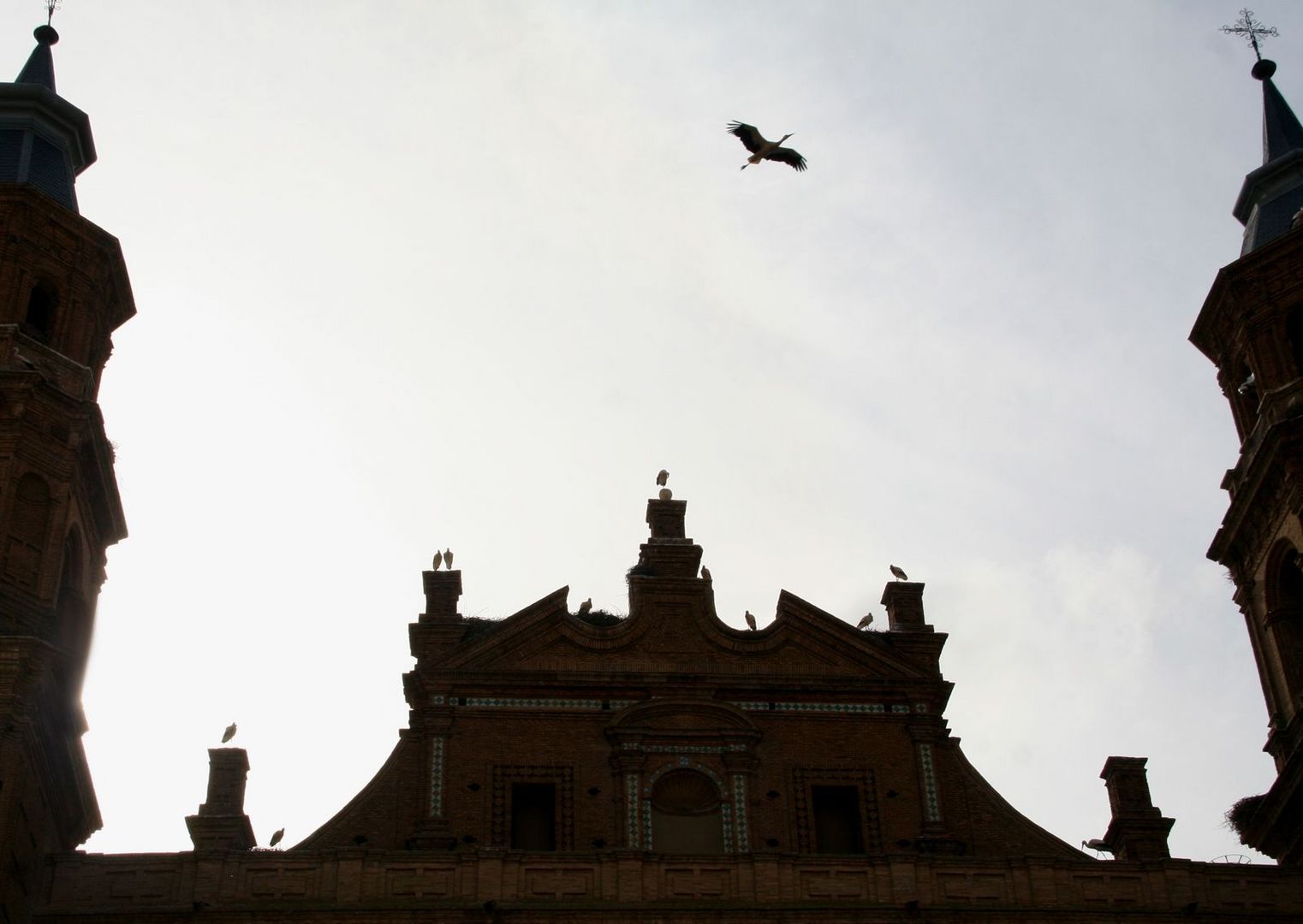 Cigüeñas en la Colegiata de San Miguel de Alfaro (La Rioja / abril de 2012)