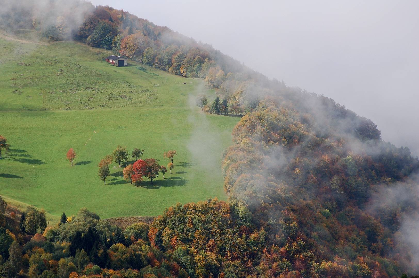 Cima Rest Foto Immagini paesaggi, natura Foto su