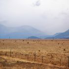 Cimarron Canyon, New Mexico