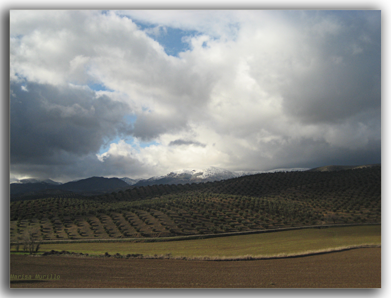 Cimas nevadas