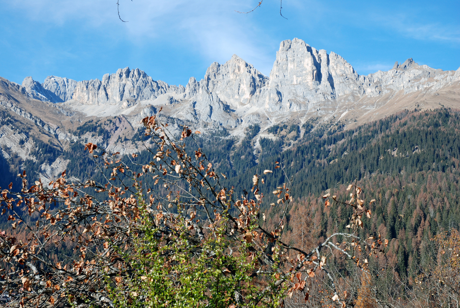 cime d'auta dolomiti caviola bl