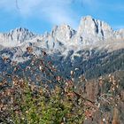 cime d'auta dolomiti caviola bl