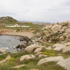 Cimetière au milieu d'une ile perdue