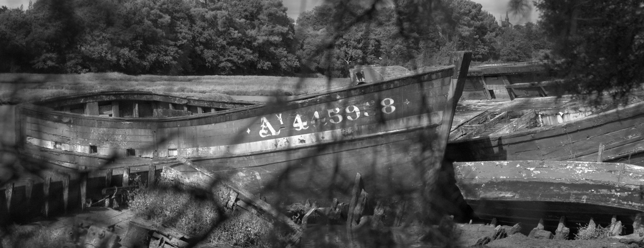 Cimetière aux bateaux... Le Bono...