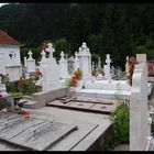 cimetière de bran