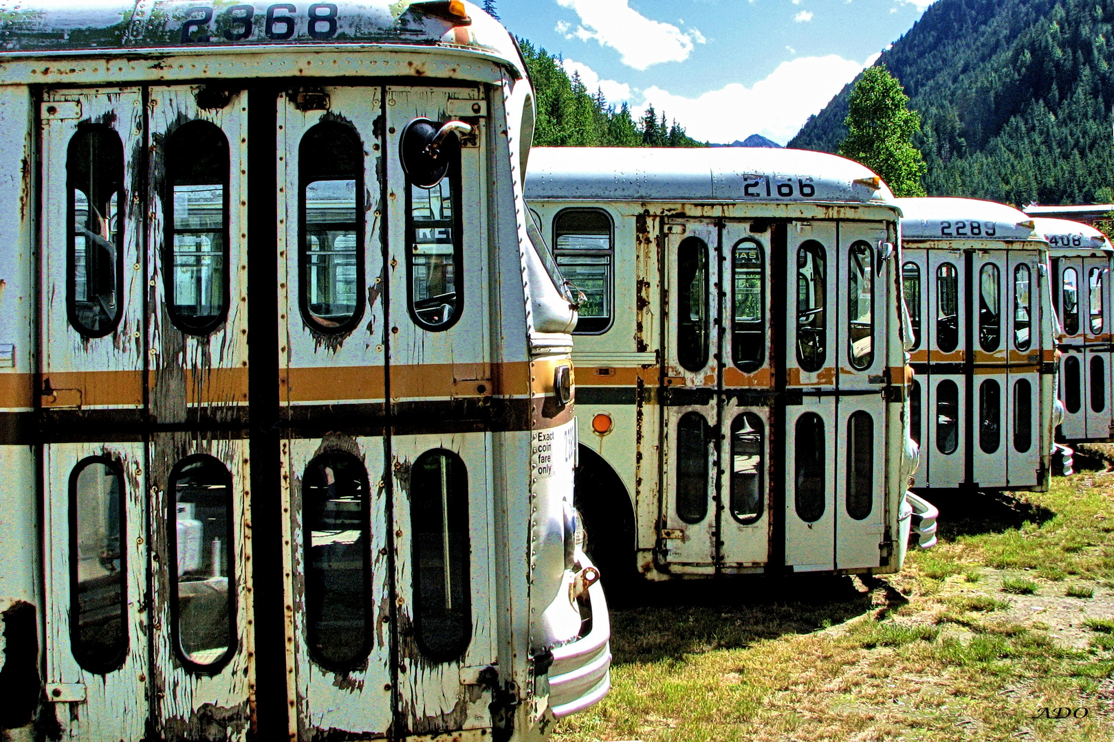 cimetière de BUs