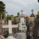 Cimetiere de Carcasonne