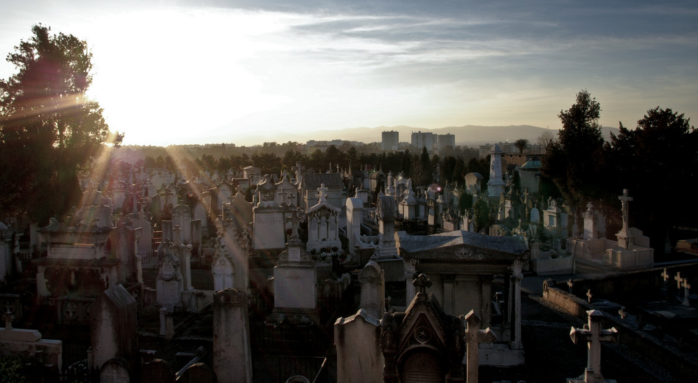 Cimetière de Loyasse