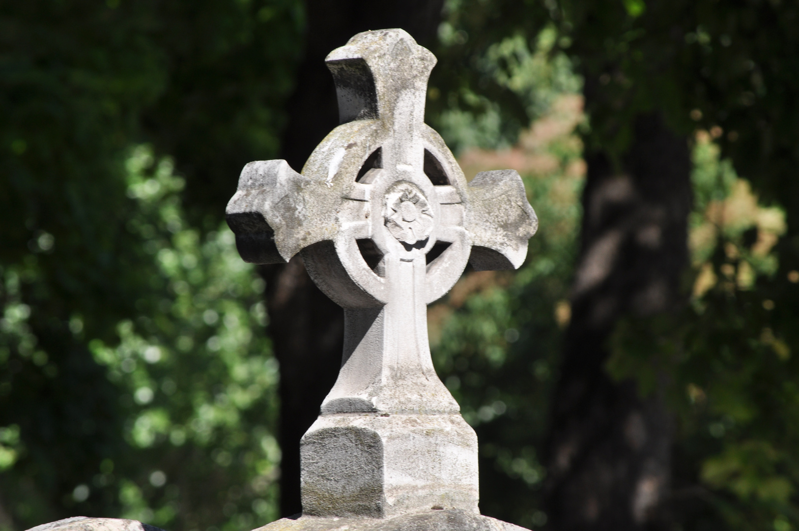 Cimetière de Mont-Martre