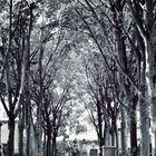 Cimetière de Montmartre