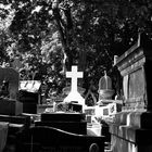 Cimetière de Montmartre