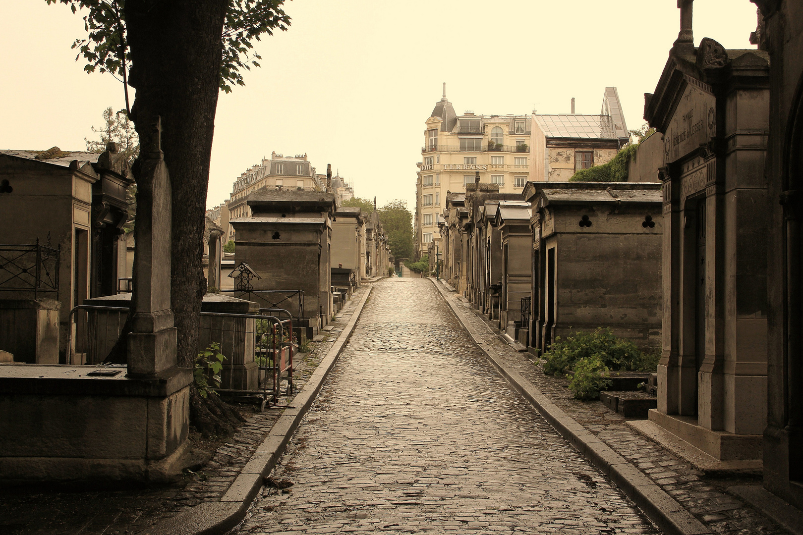 Cimetiere de Montmartre