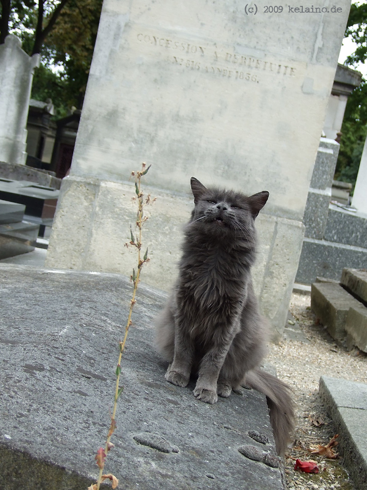 Cimetière de Montmartre, Paris