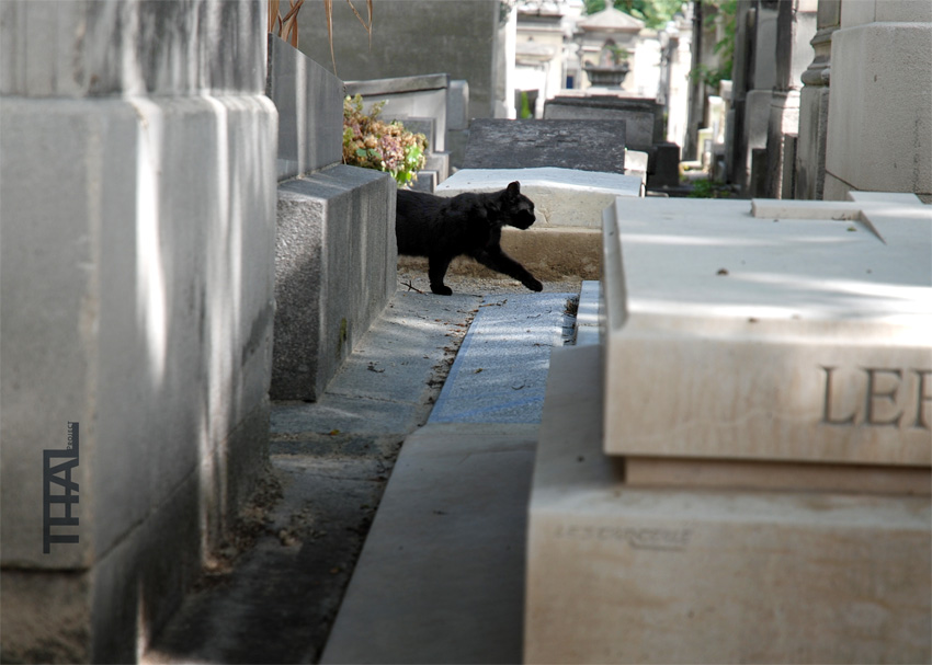 Cimetière de Montmatre