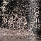 Cimetière de vélo