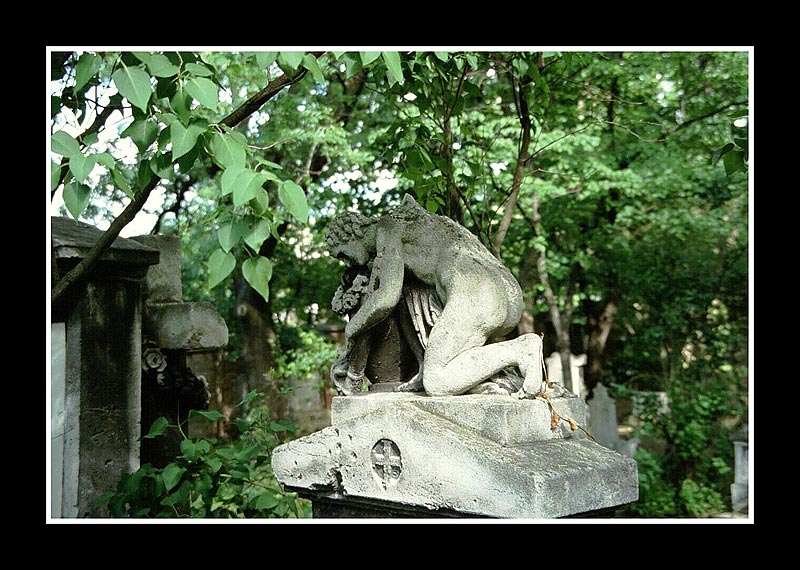 cimetière de vienne III das Orginal!