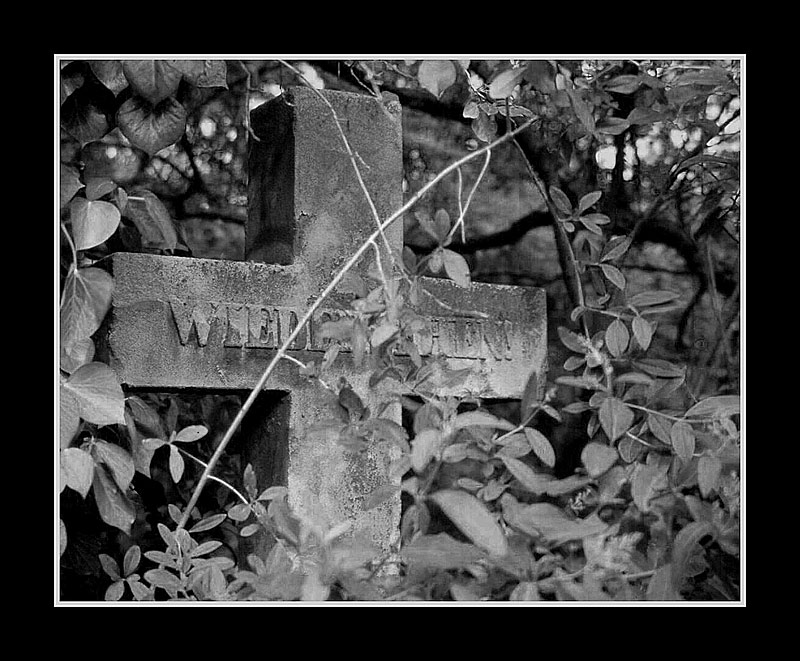 cimetière de vienne IV