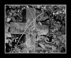 cimetière de vienne IV