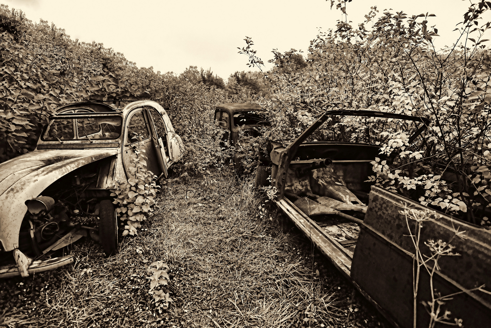 Cimetiere de voitures Citroën