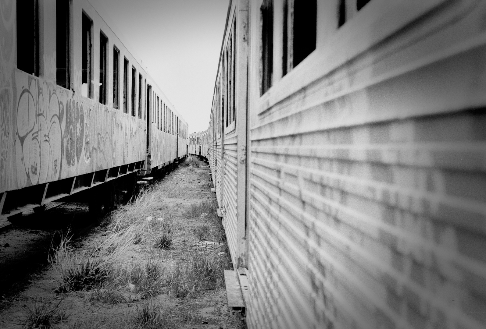 Cimetière des trains 1