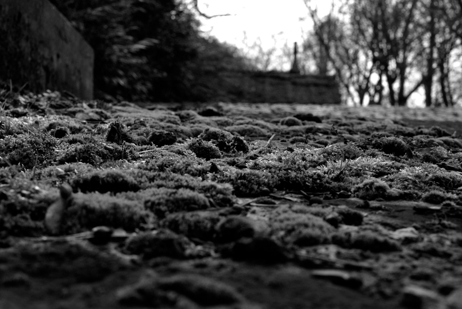 Cimetière du Père-Lachaise