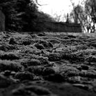 Cimetière du Père-Lachaise