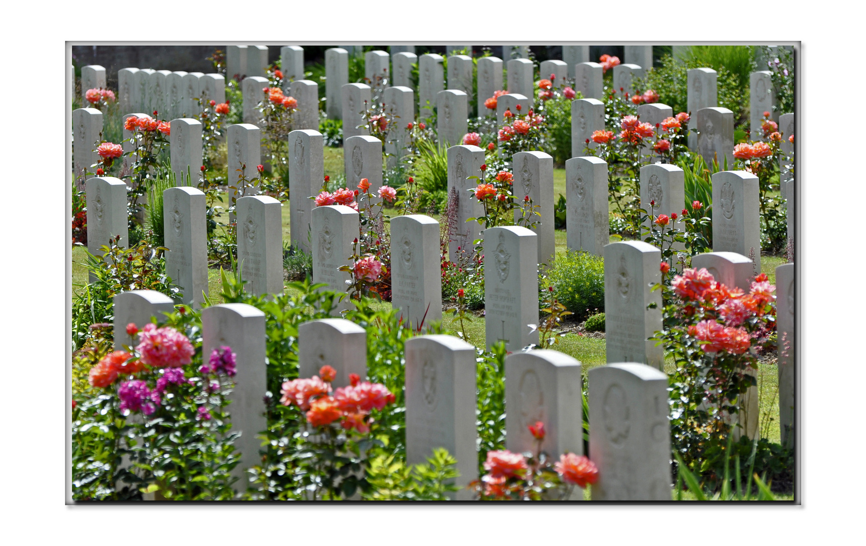 Cimetière militaire.