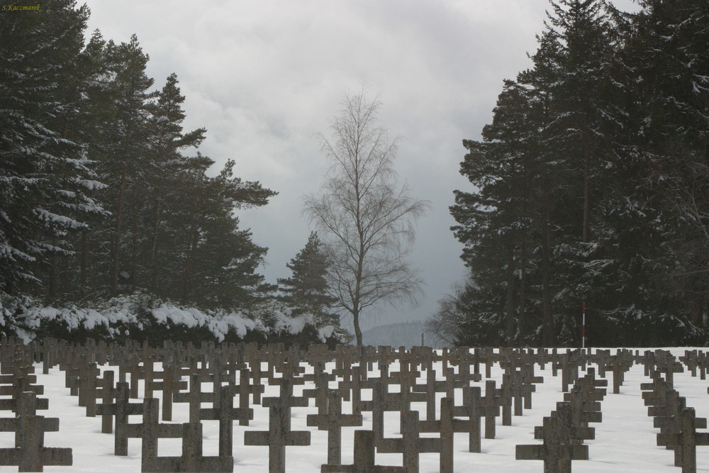 Cimetière militaire 68