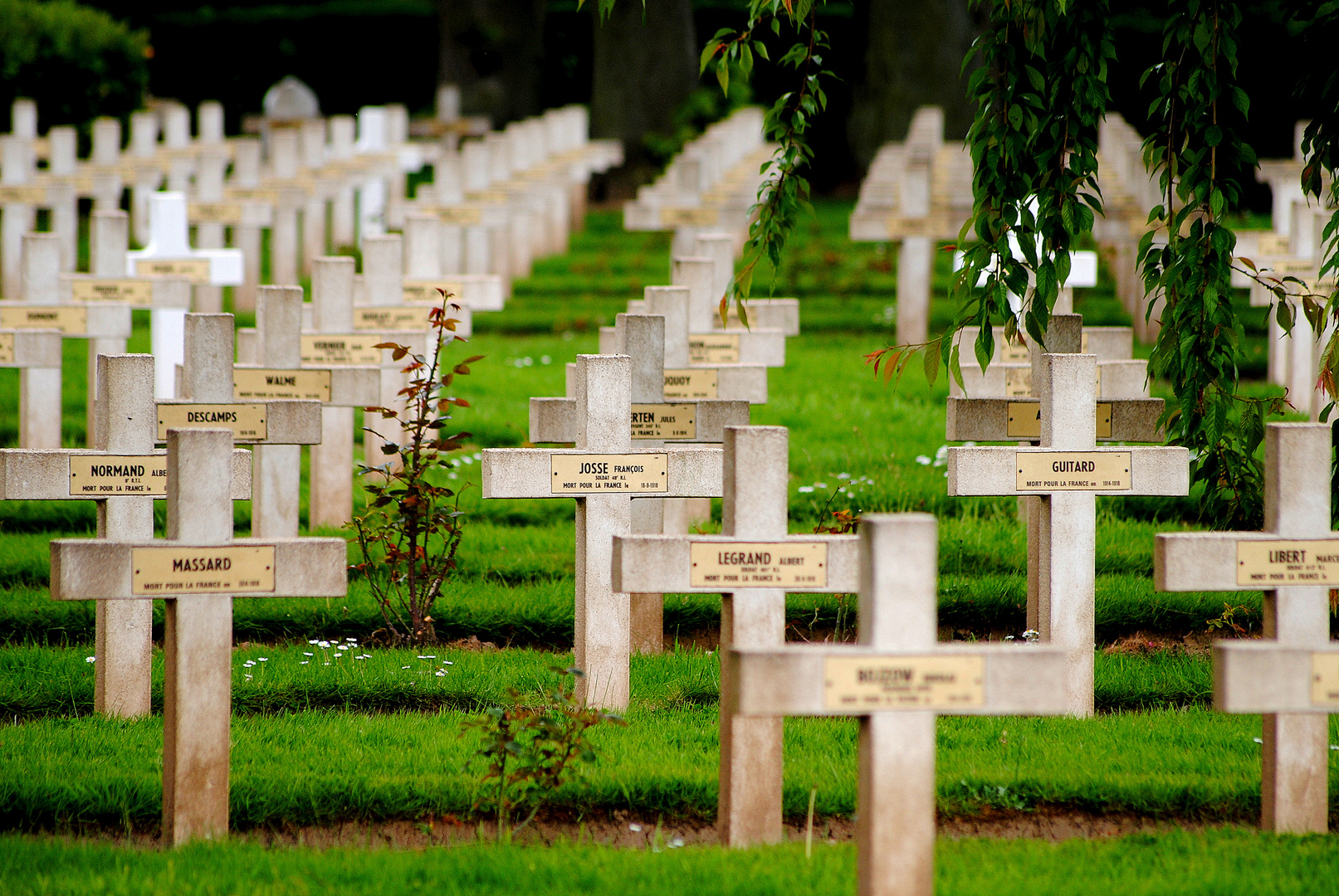 cimetière militaire d'Assevent