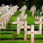 cimetière militaire d'Assevent