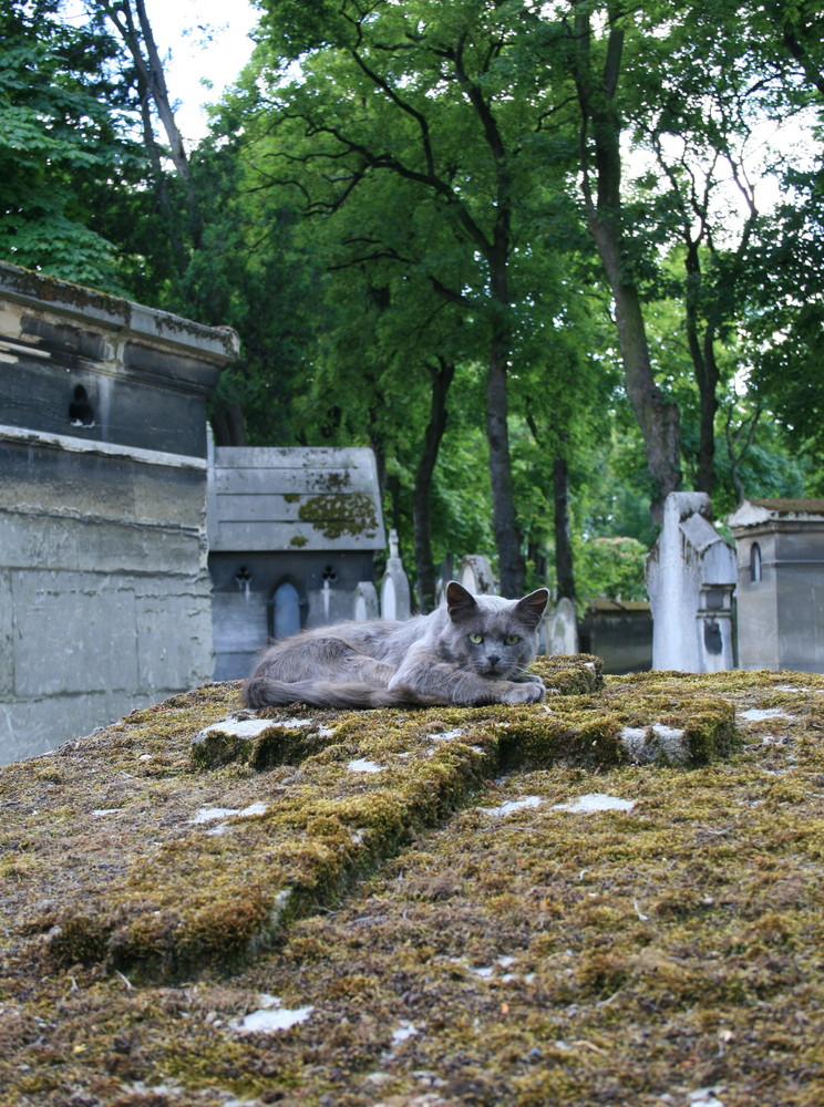 Cimetiere Montmartre