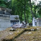 Cimetiere Montmartre