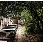 Cimetière Montparnasse 3