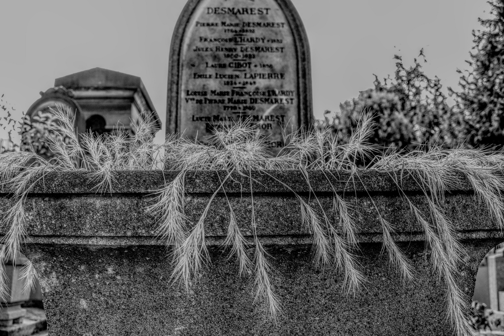 Cimetière Montparnasse