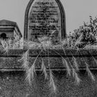 Cimetière Montparnasse