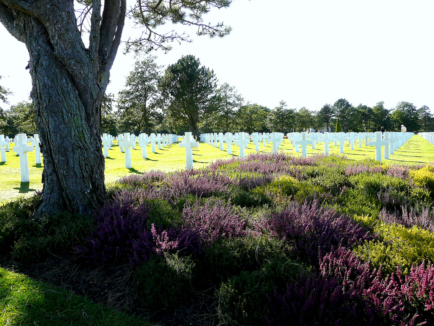 cimetière Omaha Beach.