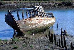 Cimetiere_bateau_1