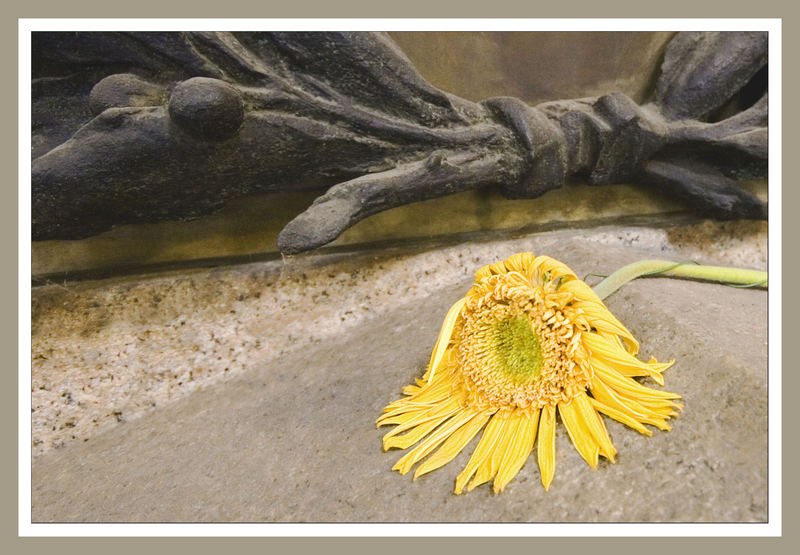 Cimitera Monumentale 5