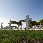 cimitero americano Nettuno